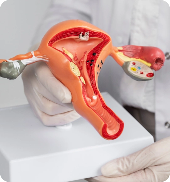 Women's Health and OB/GYN Lab Billing Services