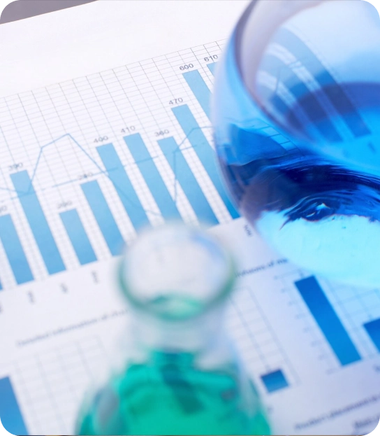 Billing Audit Services