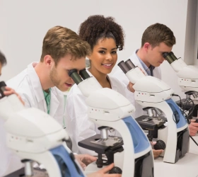 Laboratory AR Management Services